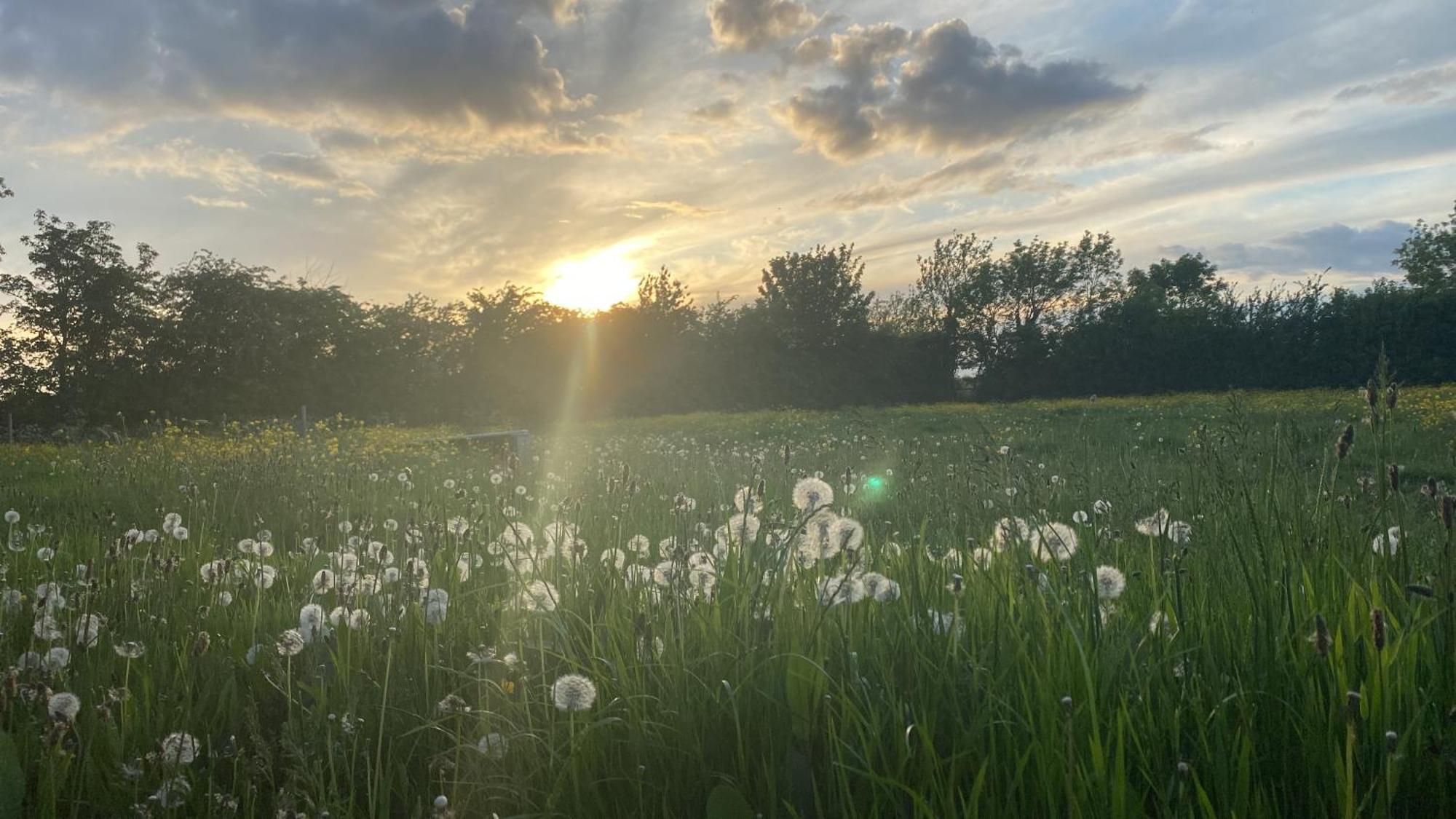 Отель Wellbet Farm Swinderby Экстерьер фото