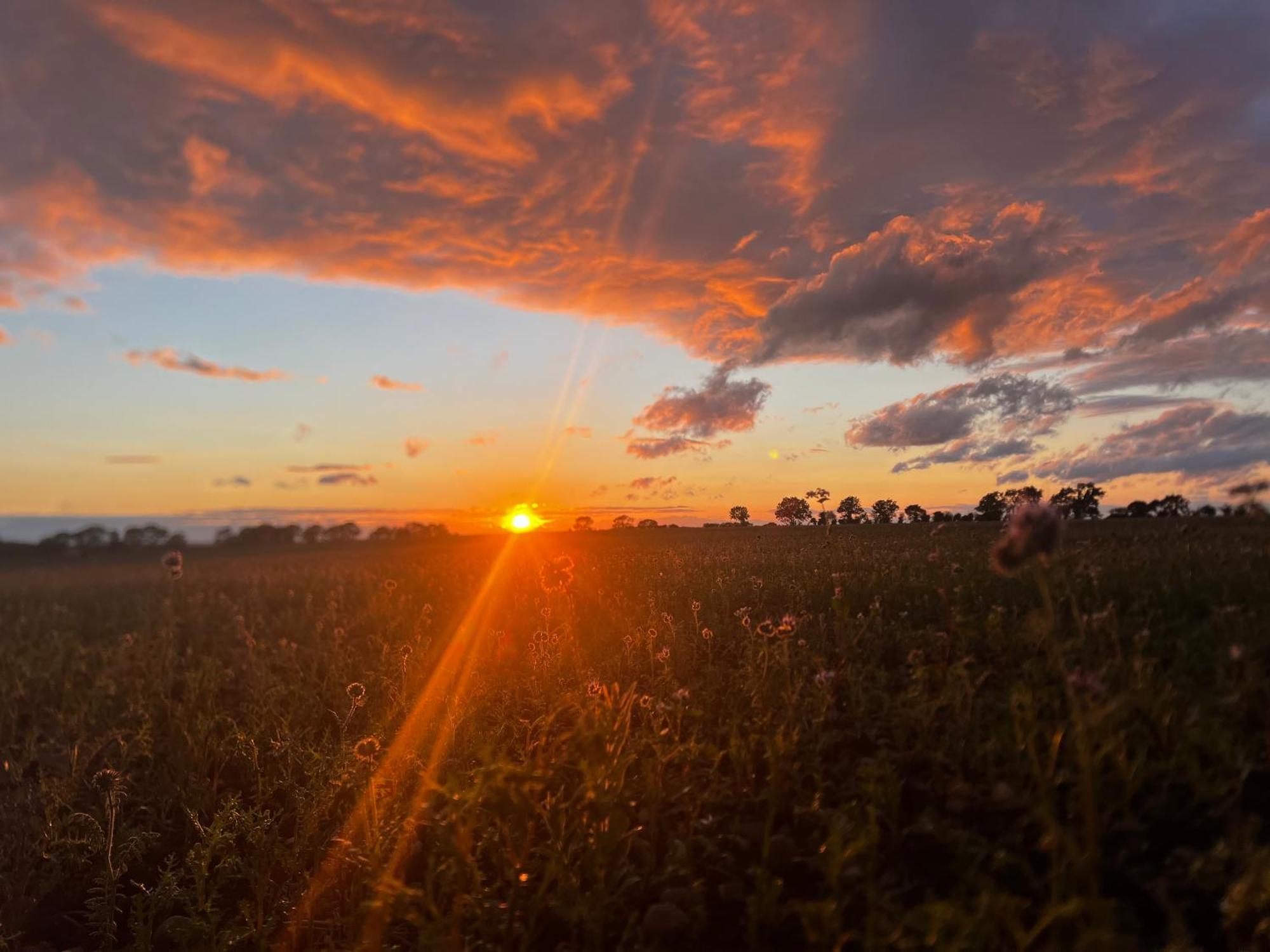 Отель Wellbet Farm Swinderby Экстерьер фото